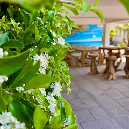 Manatee Mit Sauna Und Fitness Sellin (Rugen)