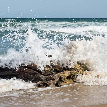 Manatee Mit Sauna Und Fitness