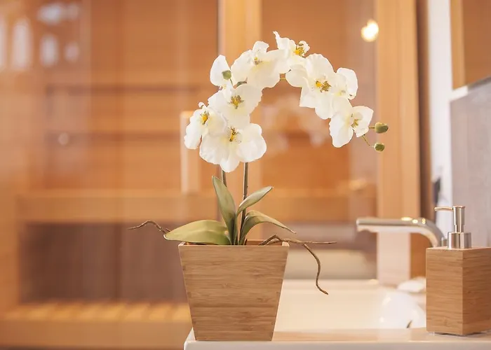 Manatee Mit Sauna Und Fitness Apartment *